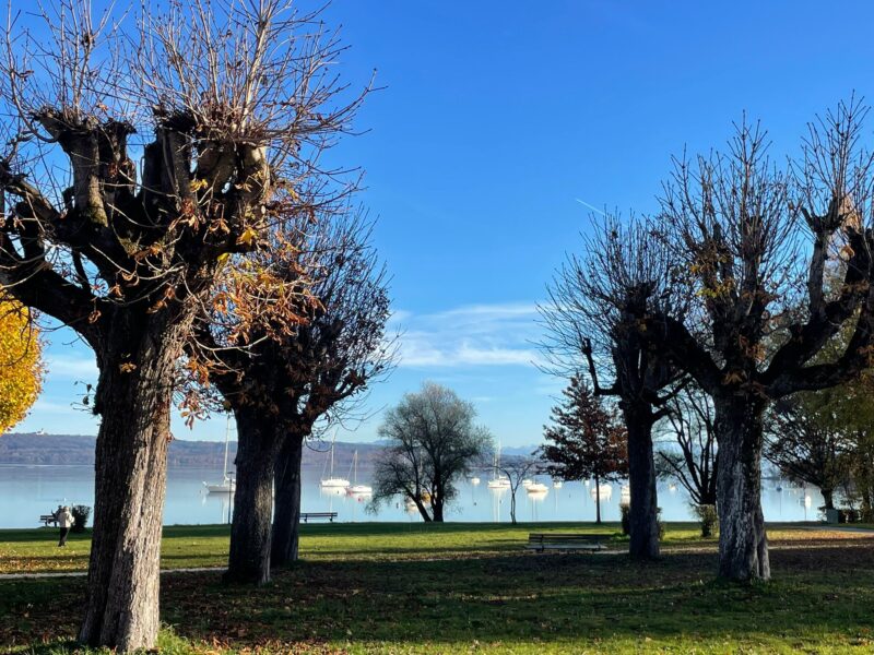 Summerpark im Spätherbst